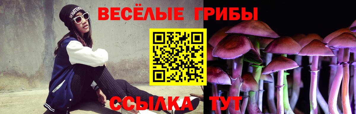 закладки  Вход с VPN  Партизанск  Галлюциногенные грибы Psilocybe 